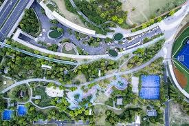 暖心！收养7年供吃供住，成名后的詹姆斯这样回报弗兰克夫妇